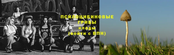 ГАЛЛЮЦИНОГЕННЫЕ ГРИБЫ Алексеевка
