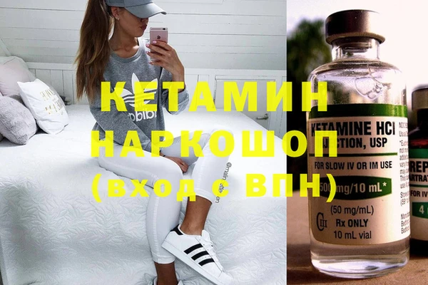крисы Алексин