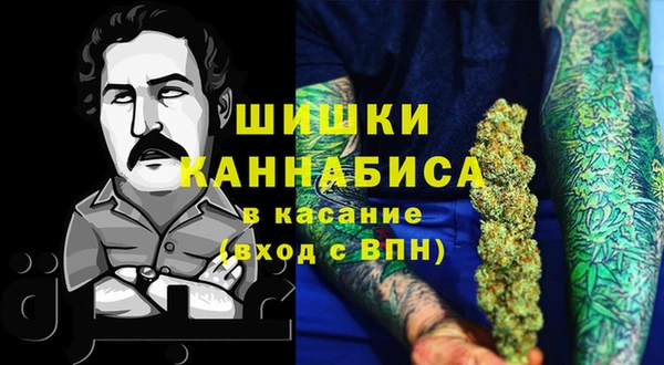 ГАЛЛЮЦИНОГЕННЫЕ ГРИБЫ Алексеевка