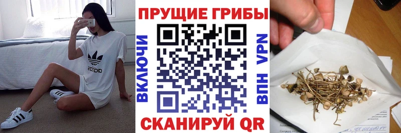 Псилоцибиновые грибы GOLDEN TEACHER  наркошоп  Десногорск 